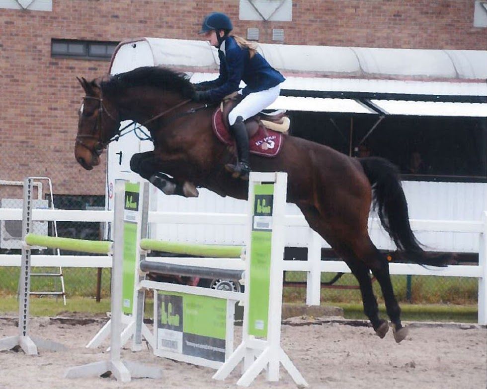 Het belang van een goed passend zadel voor je paard