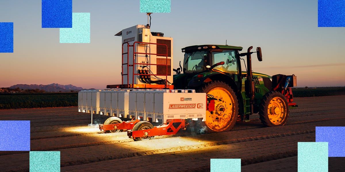 Agricultural weed control is a delicate process. AI tools could transform how farmers tackle it.