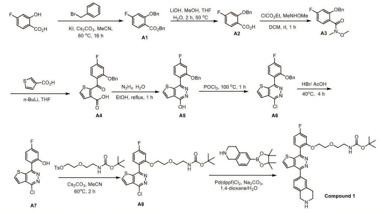 Cancer drug candidate developed using supercomputing and AI blocks tumor growth without toxic side effects