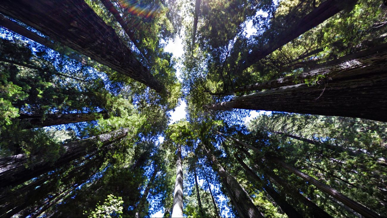 Read Google’s 10th annual Environmental Report
