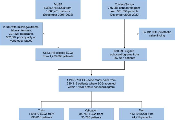 Detecting structural heart disease from electrocardiograms using AI - Nature