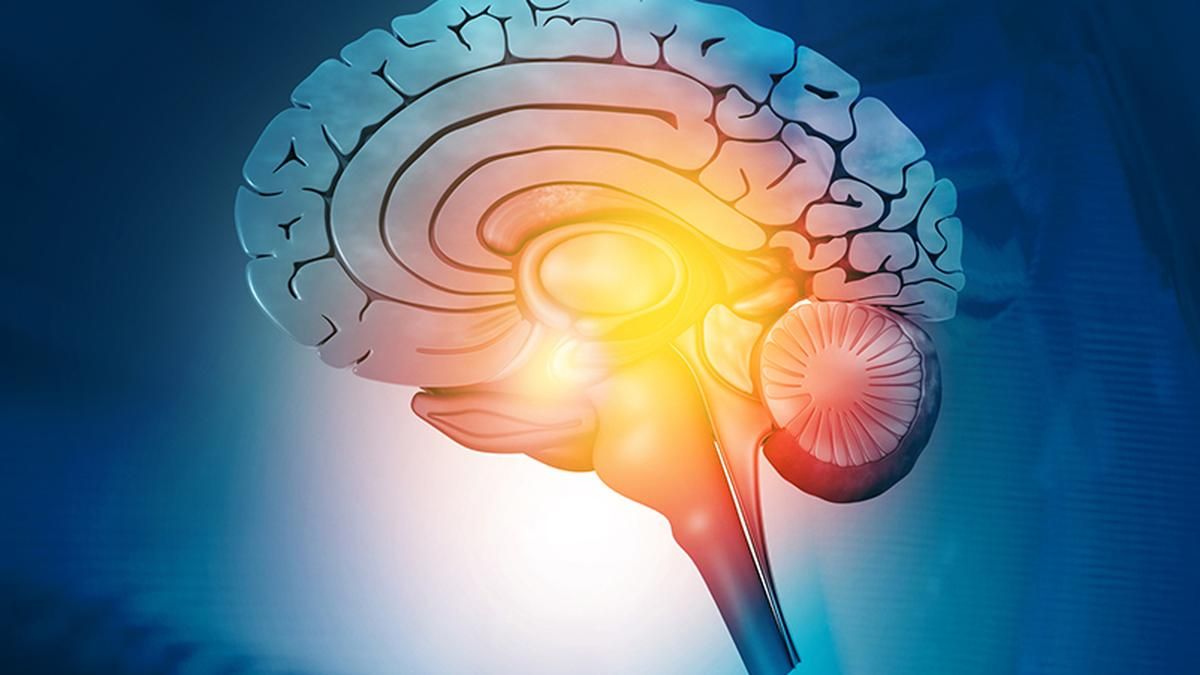 Health professionals' skills to detect benign tumours drop after using AI for 3 months, study finds