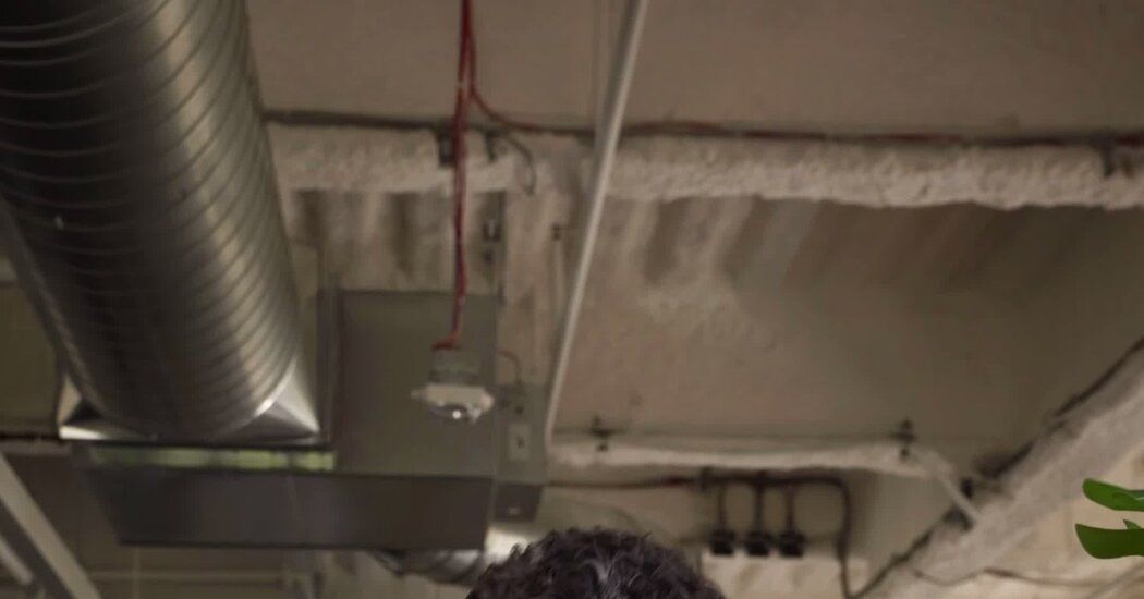 The C.E.O. of Duolingo Wants to Have a Conversation About A.I.