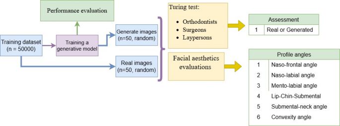 Developing an artificial intelligence-based progressive growing GAN for high-quality facial profile generation and evaluation through turing test and aesthetic analysis - Scientific Reports