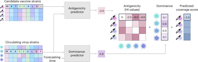 Influenza vaccine strain selection with an AI-based evolutionary and antigenicity model - Nature Medicine