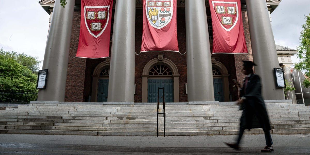 A Harvard professor on why AI 'evangelism' is harming students' career prospects