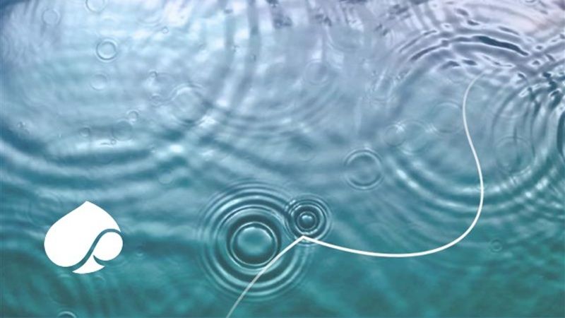 Capgemini unveils strategic AI framework to turn enterprise ambition into measurable business impact