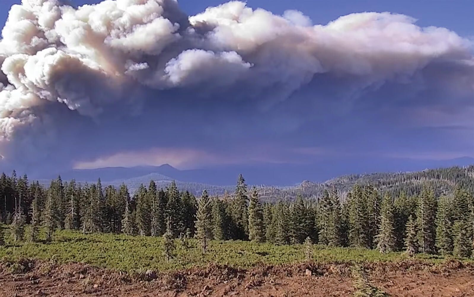 Smarter eyes, quicker wings reshaping wildfire response