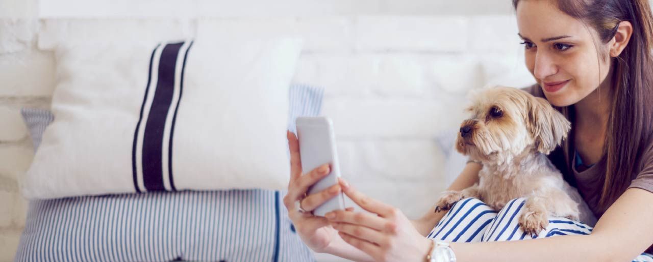 ebay.be - eBay België, eBay Belgique