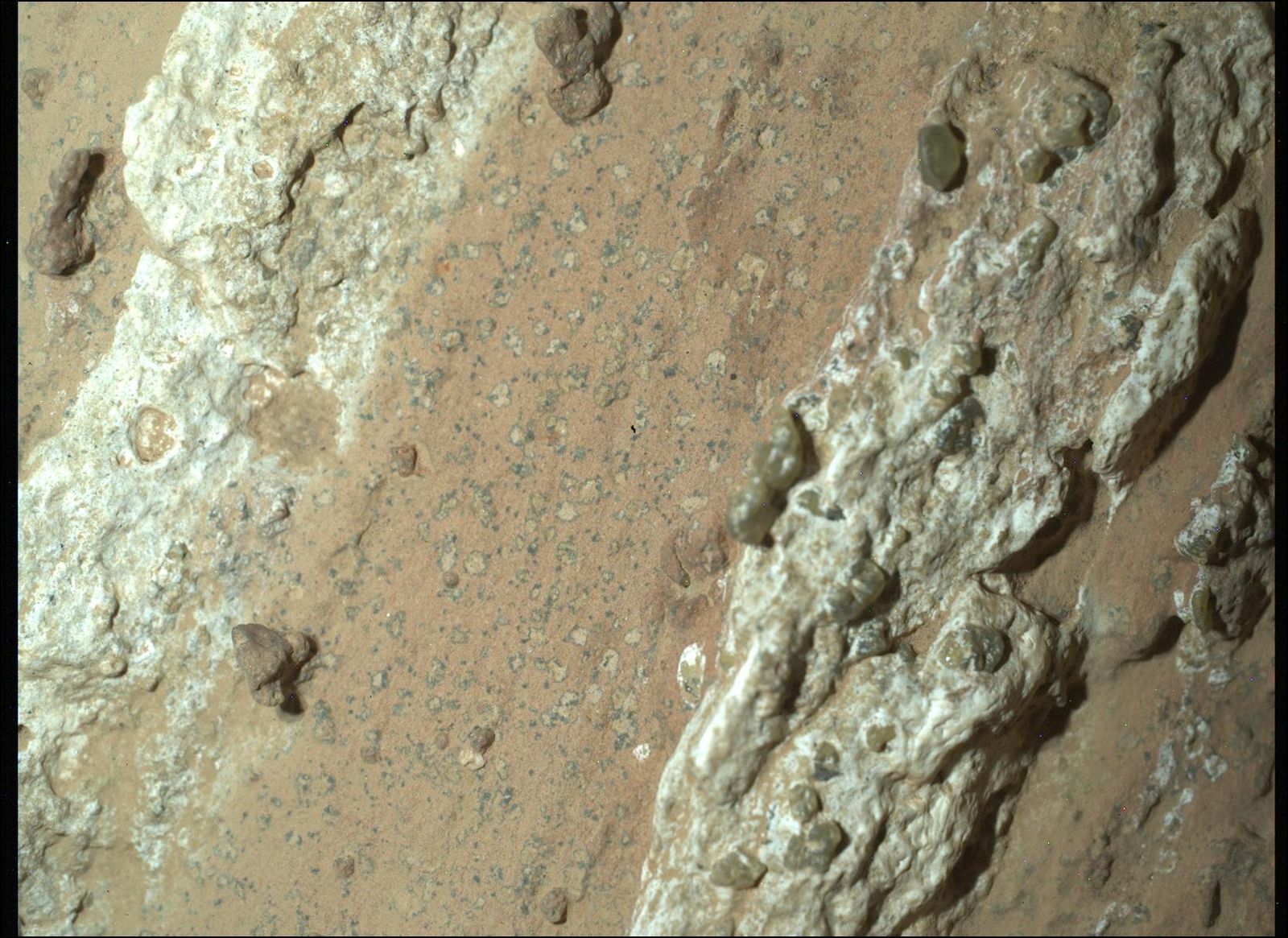 NASA Says Mars Rover Discovered Potential Biosignature Last Year - NASA