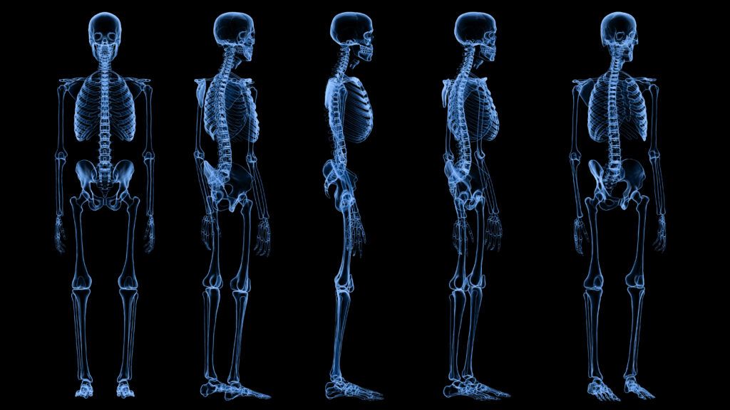 I created my own AI medical team. It changed the way doctors treat my cancer