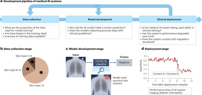 Transparency of medical artificial intelligence systems - Nature Reviews Bioengineering
