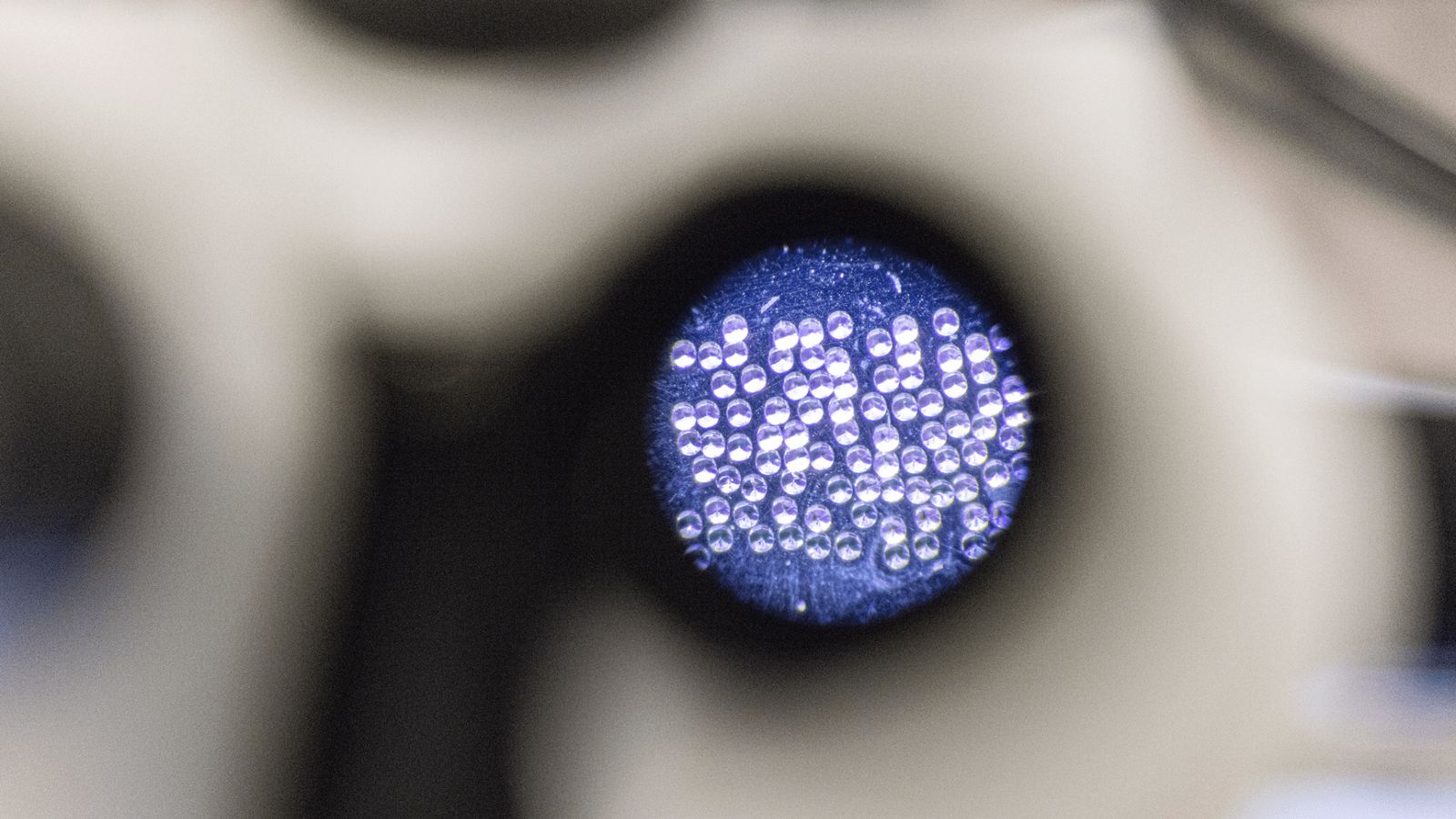 AI-microscoop legt bewegende hersenen in 3D vast | UP-TO-DATE AI Webdesign