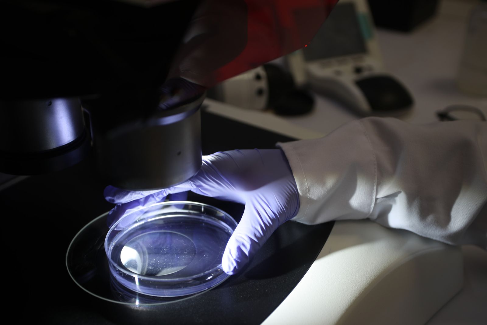 AI Creates Bacteria-Killing Viruses: 'Extreme Caution' Warns Genome Pioneer