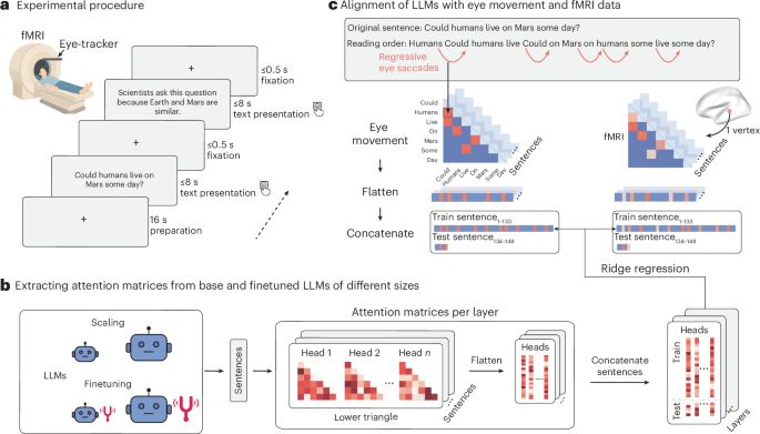 Increasing alignment of large language models with language processing in the human brain - Nature Computational Science