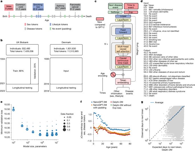 Learning the natural history of human disease with generative transformers - Nature