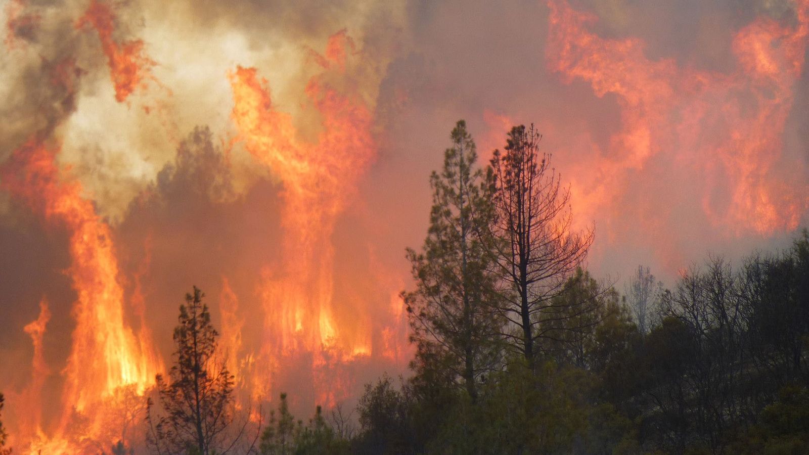 Earthquake Experts Guide | University of Nevada, Reno