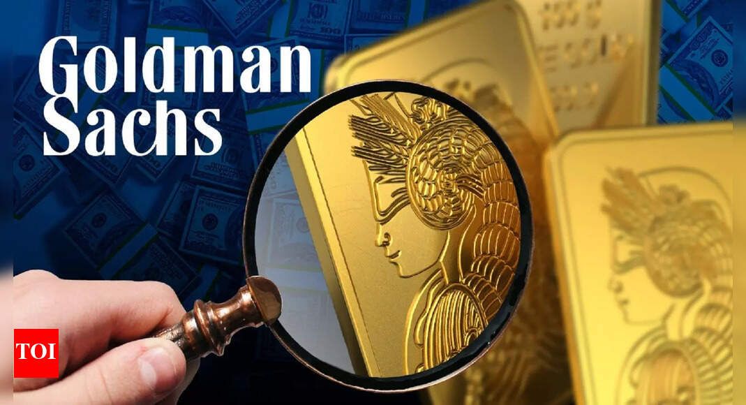 Goldman Sachs signals fresh layoffs as AI takes over: 8 ways US employees can prepare for the impending job cuts - The Times of India