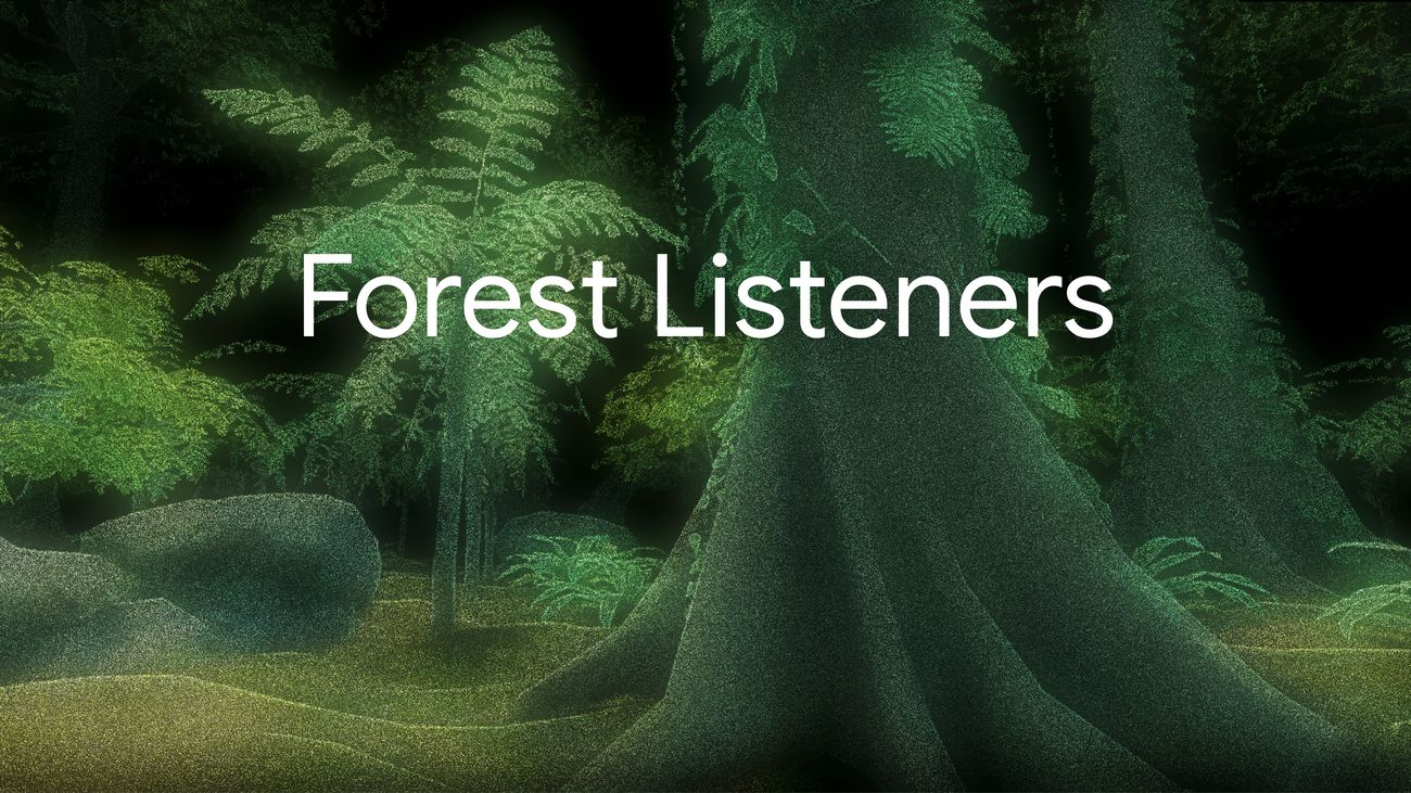 Listen to the Brazilian rainforests and help contribute to AI research
