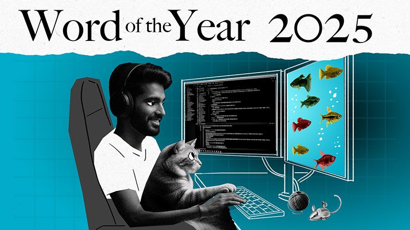 Collins’ Word of the Year 2025: AI meets authenticity as society shifts - Collins Dictionary Language Blog