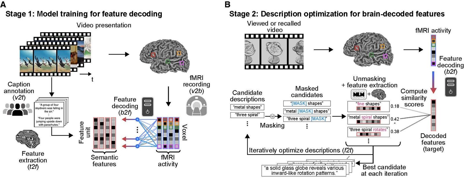 'Mind-captioning' technique can read human thoughts from brain scans