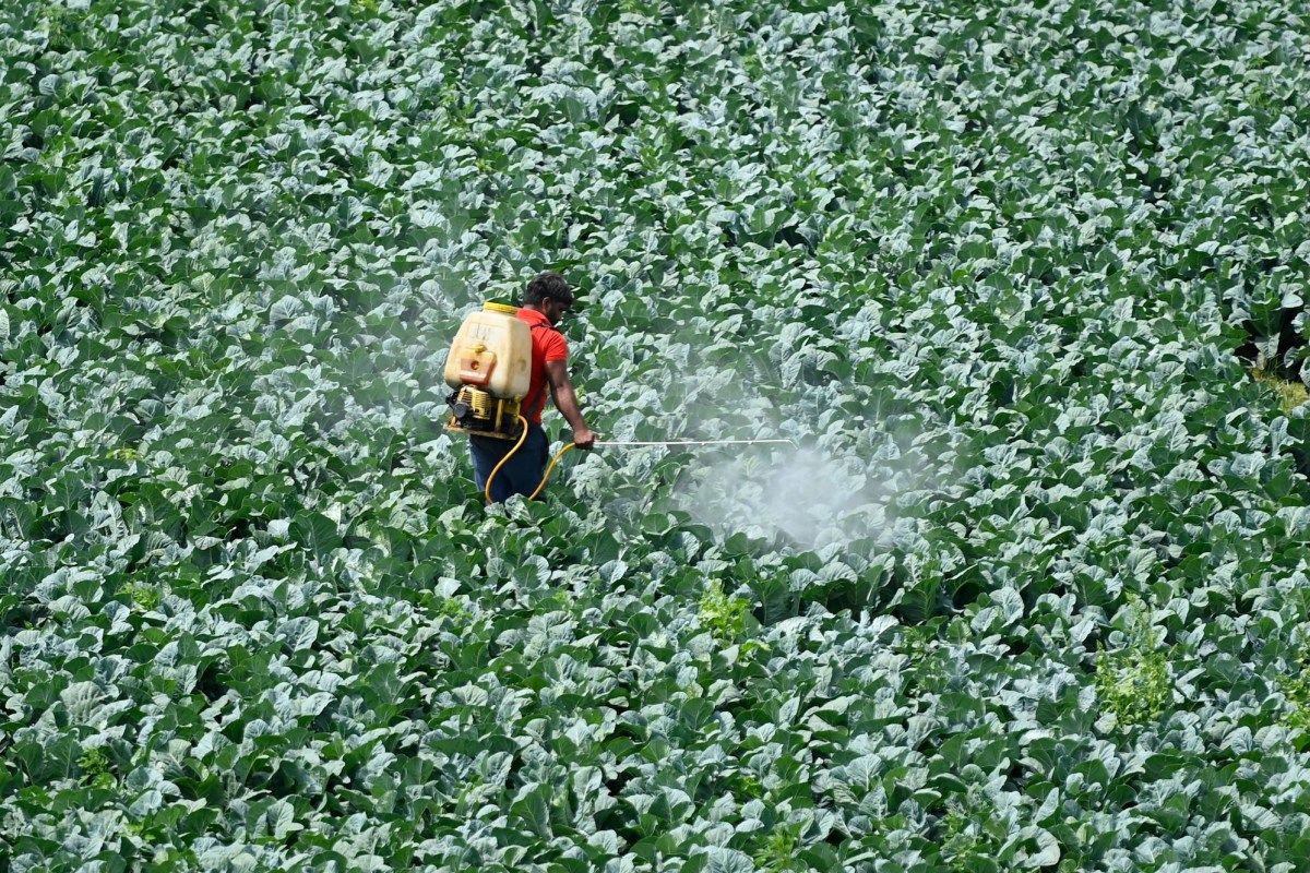 Teen founders raise $6M to reinvent pesticides using AI — and convince Paul Graham to join in | TechCrunch