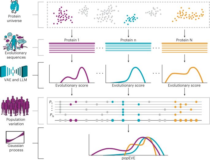 Proteome-wide model for human disease genetics - Nature Genetics