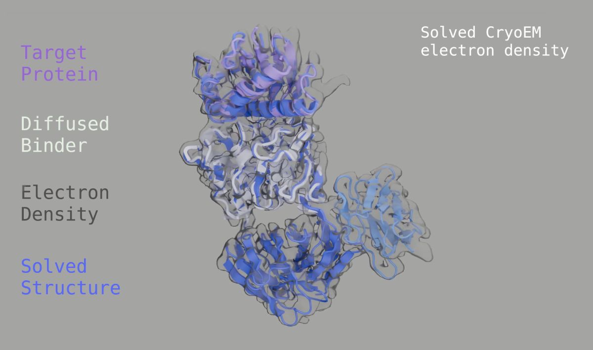 OpenAI-Backed Chai Discovery Raises $130M at $1.3B Valuation to Scale AI-Driven Antibody Design