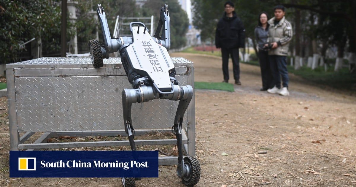 China’s Deep Robotics joins IPO rush as embodied intelligence sector heats up