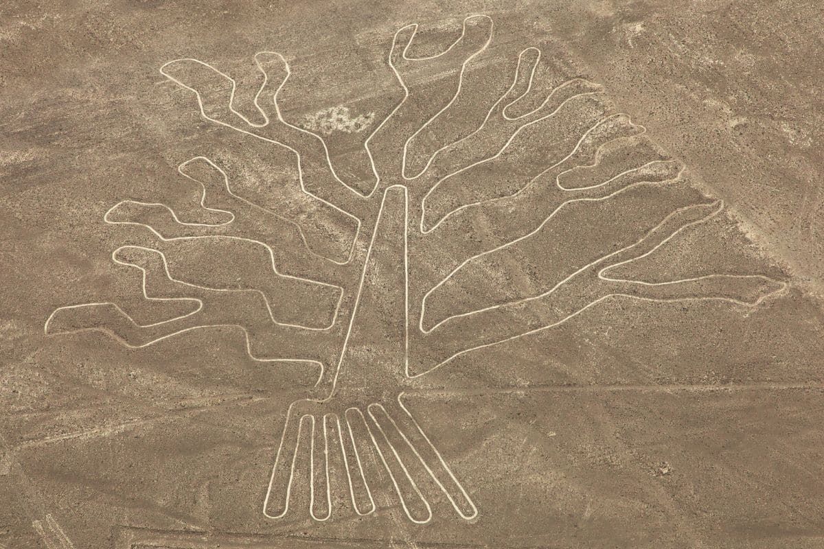 AI cracks a 2,000-year-old mystery buried in the desert - Futura-Sciences