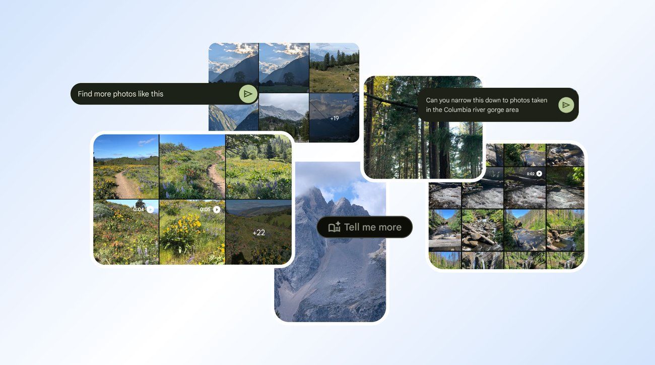 9 fun questions to try asking Google Photos