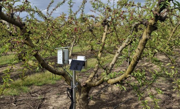 Here’s how we’re helping Belgium's farmers save water with AI.