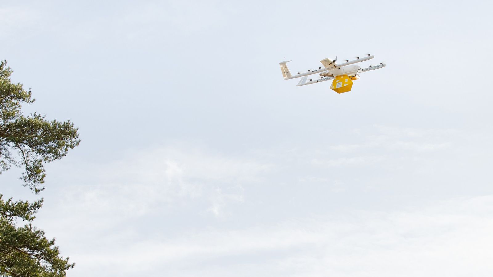 Wing and Papa Johns partner to build the future of fresh, hot delivery by drone