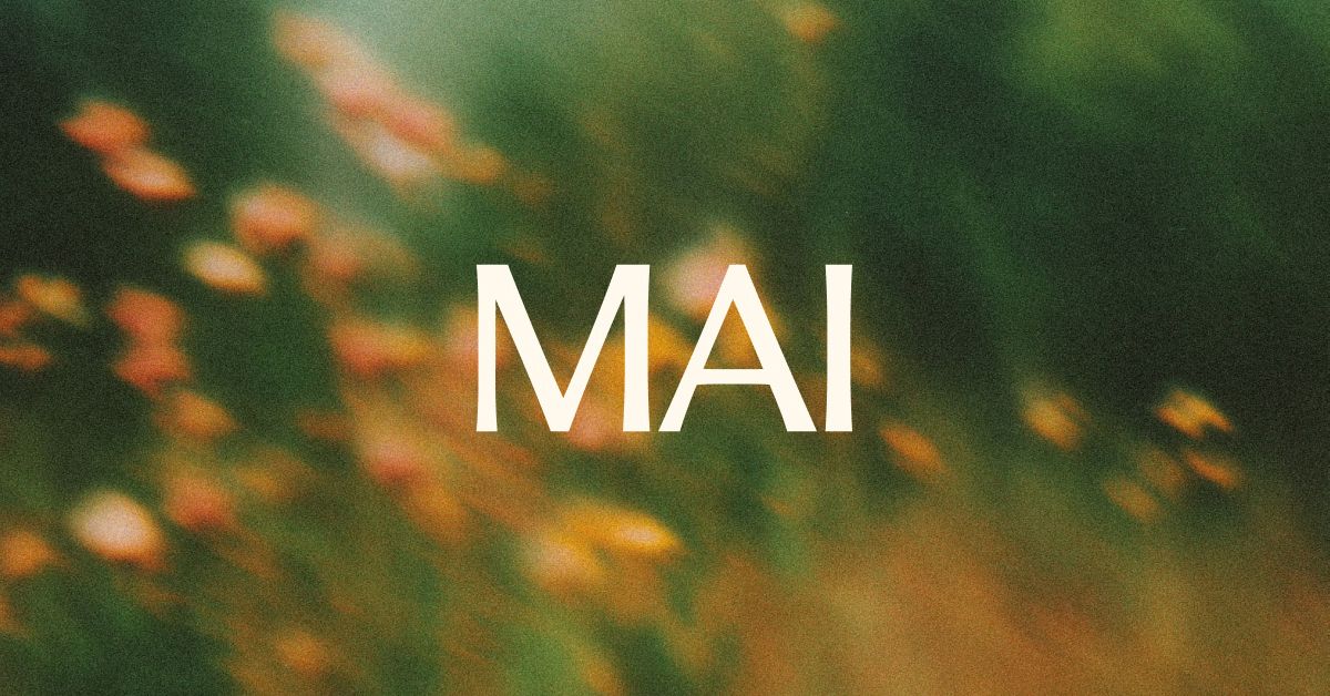 Building a hill-climbing machine: Launching seven new MAI models | Microsoft AI