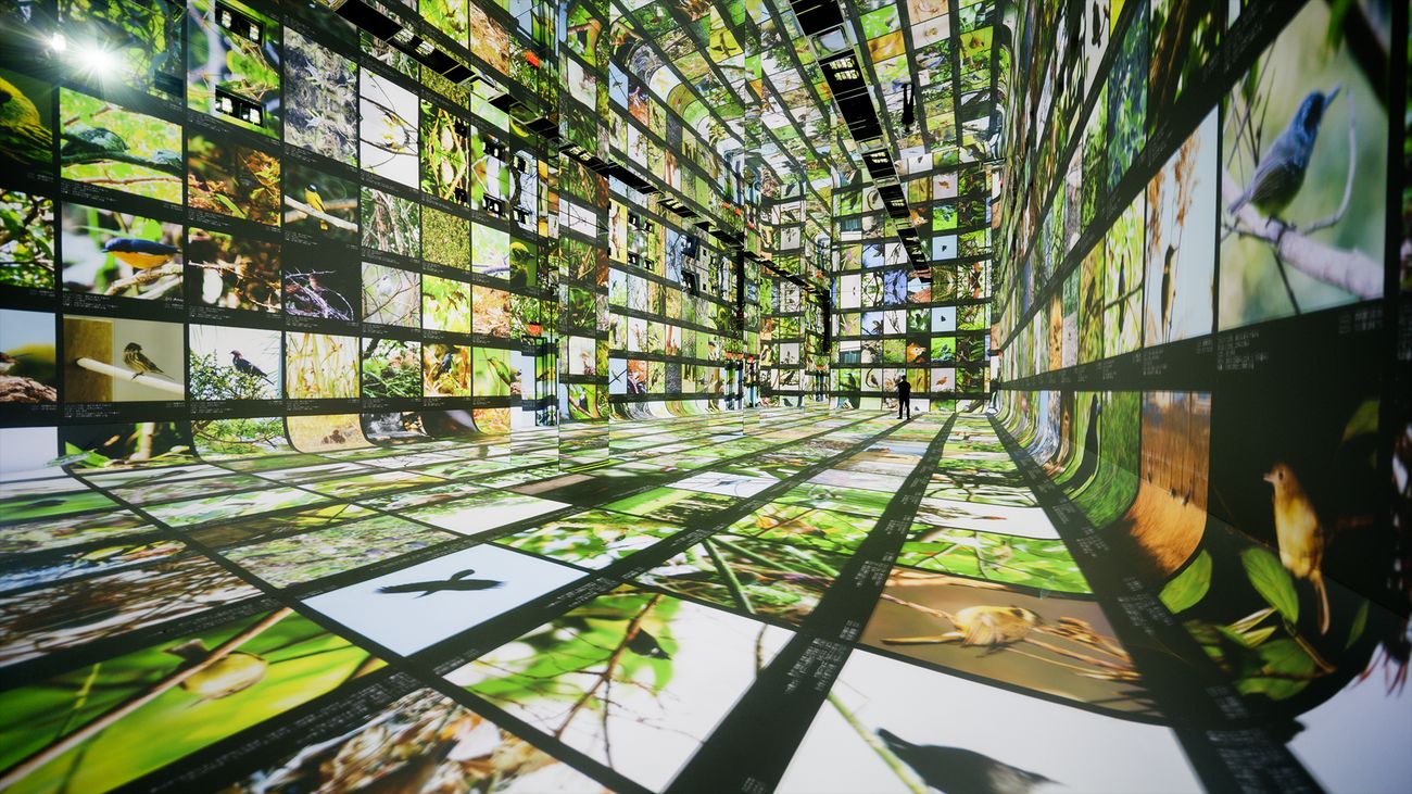 Powering the world’s first AI arts museum