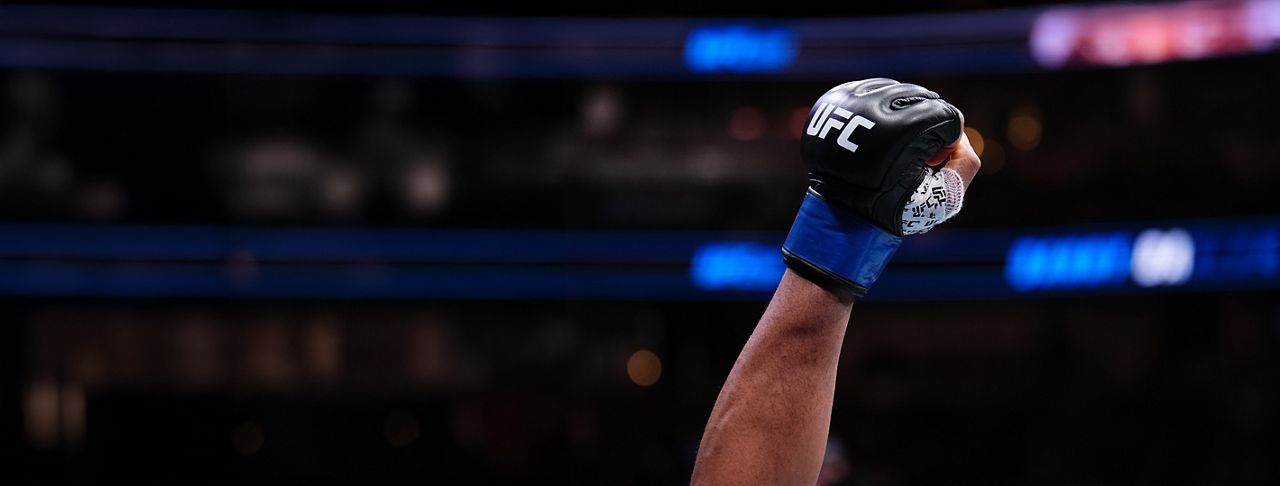 IBM and the UFC