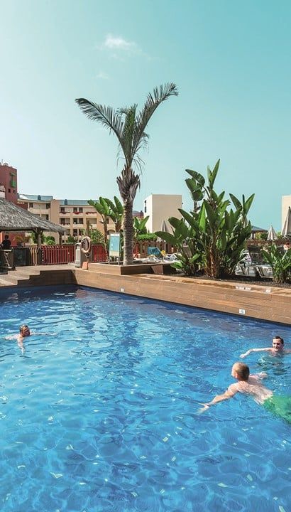 Mediterrane oase op Tenerife: Best Jacaranda