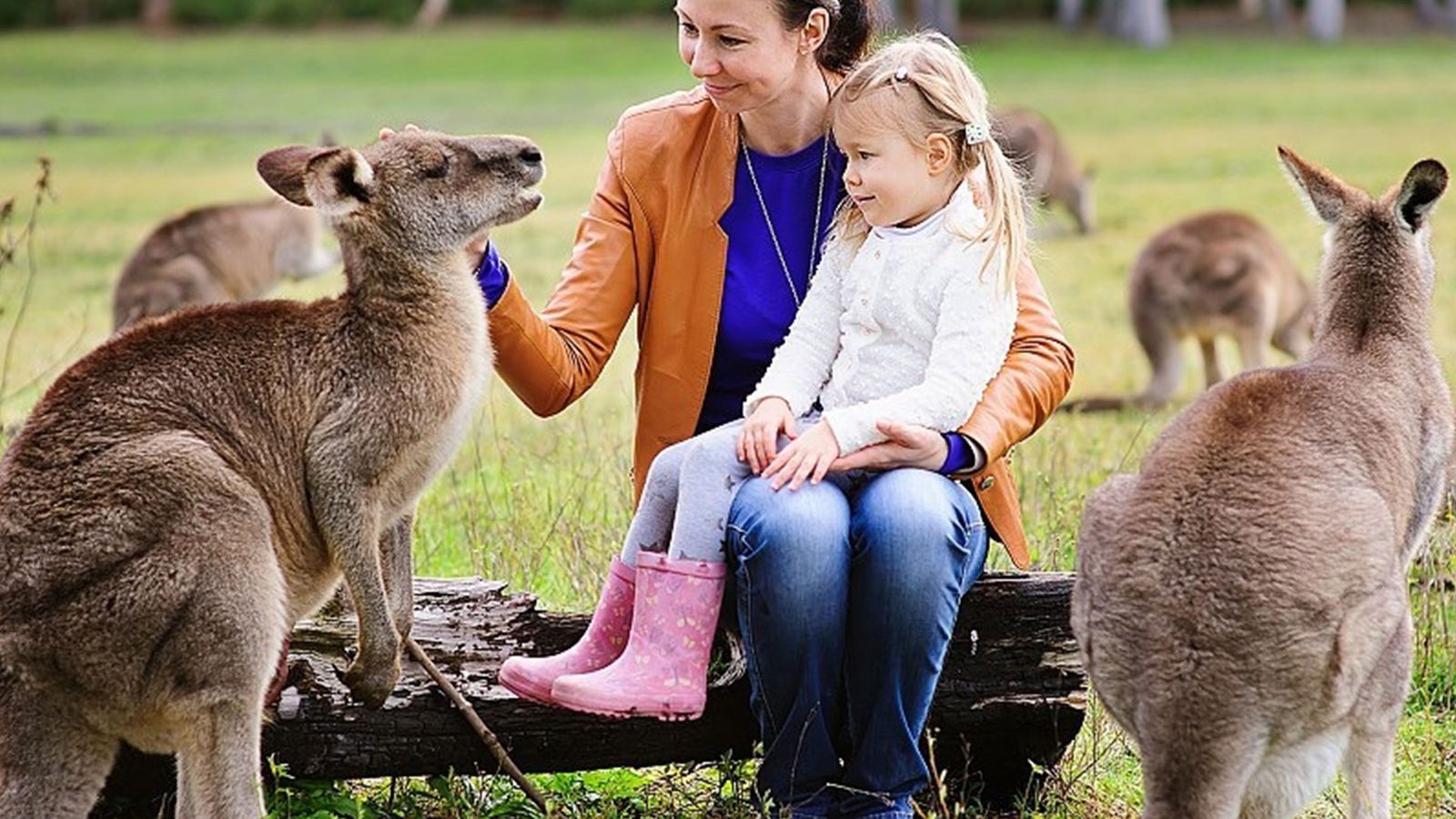 Australië met het gezin