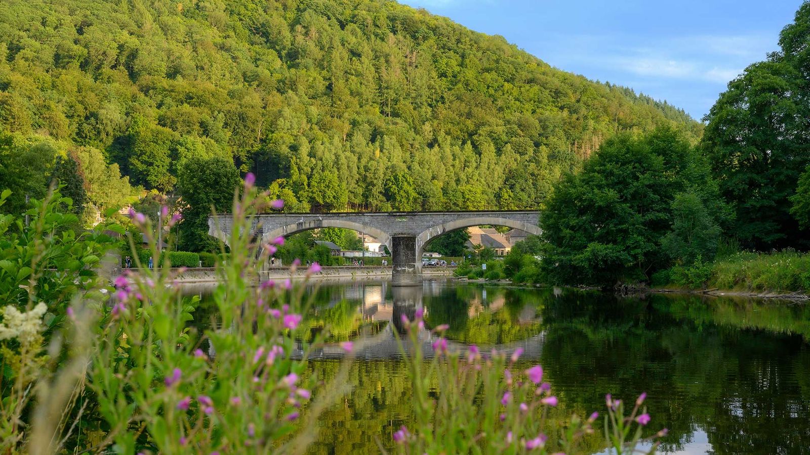 Wandelvakantie - Ardennen | Poix St-Hubert La Grande Forêt de Saint-Hubert: tussen Lesse en Lomme 6