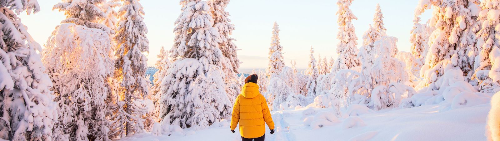 Apéro op de Buro: winters Lapland