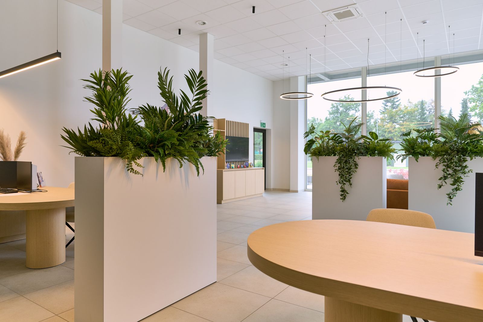 10Staf Cars Driesen55215.jpg