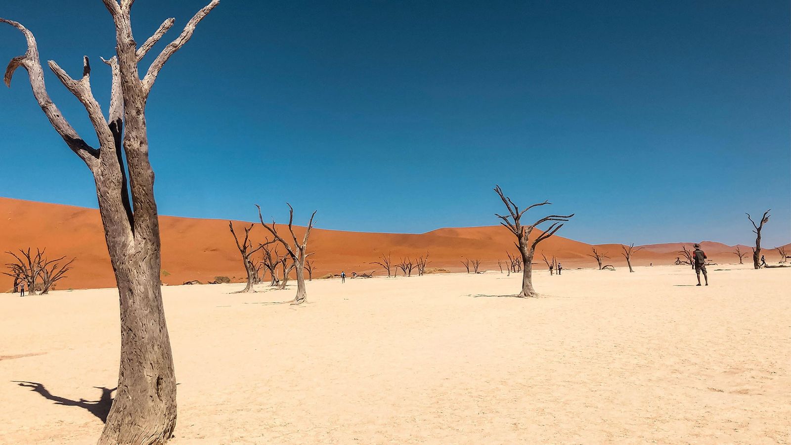 Reizen naar Namibië | Ontdek de magie van woestijnen en wilde dieren