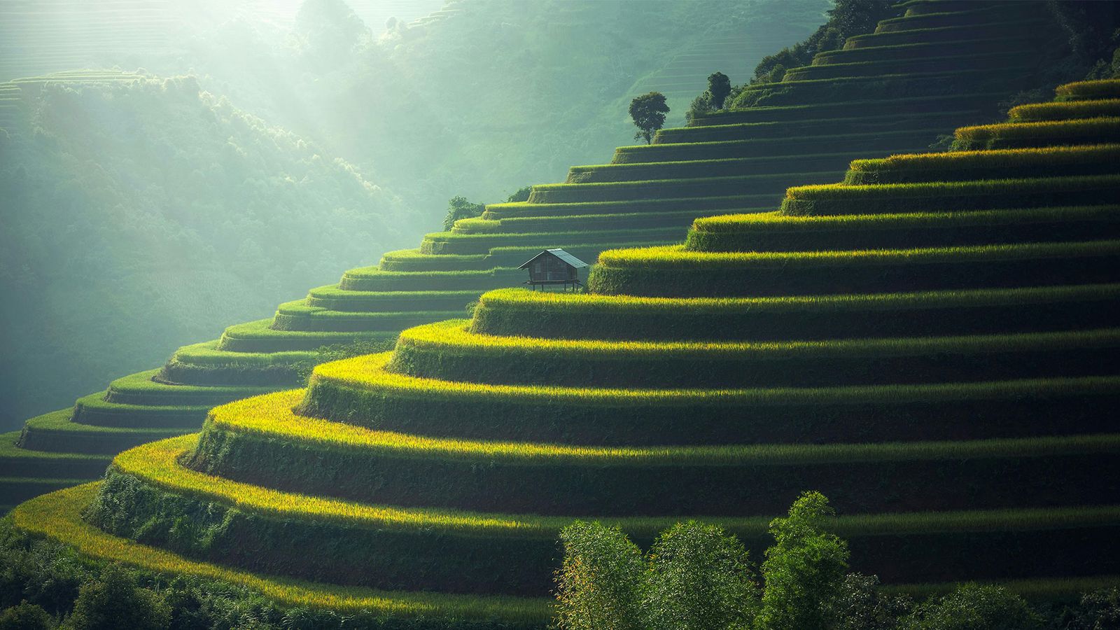 Reizen naar China | Ontdek eeuwenoude cultuur en adembenemende natuur