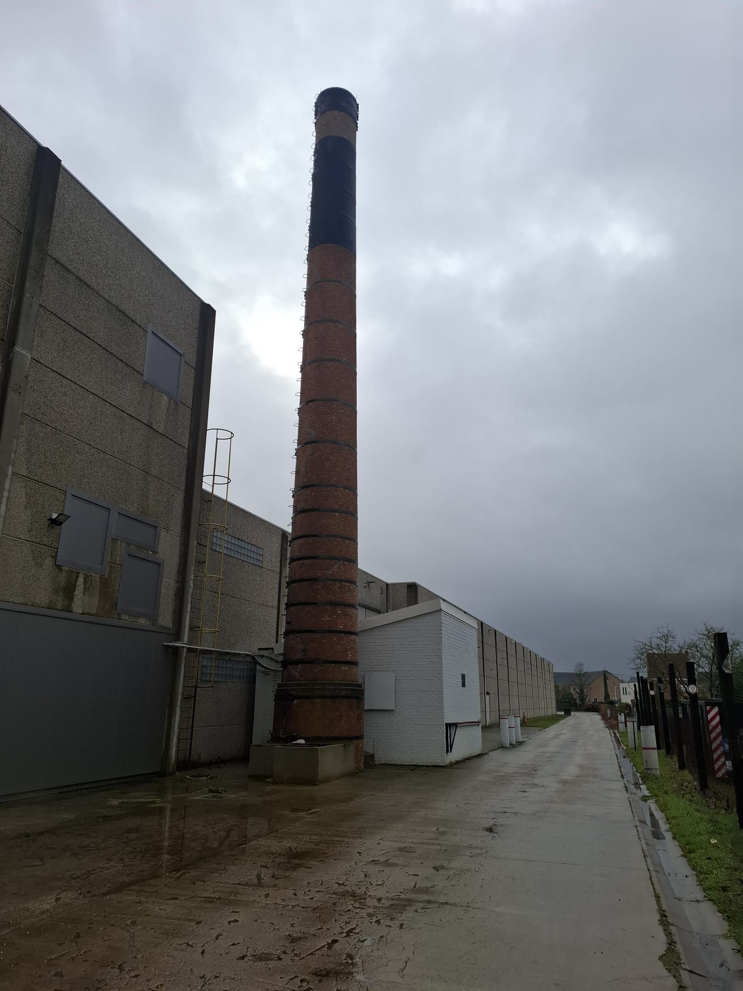 1431d998-2aff-4b4a-b6c8-9c35f02b76f1.jfif