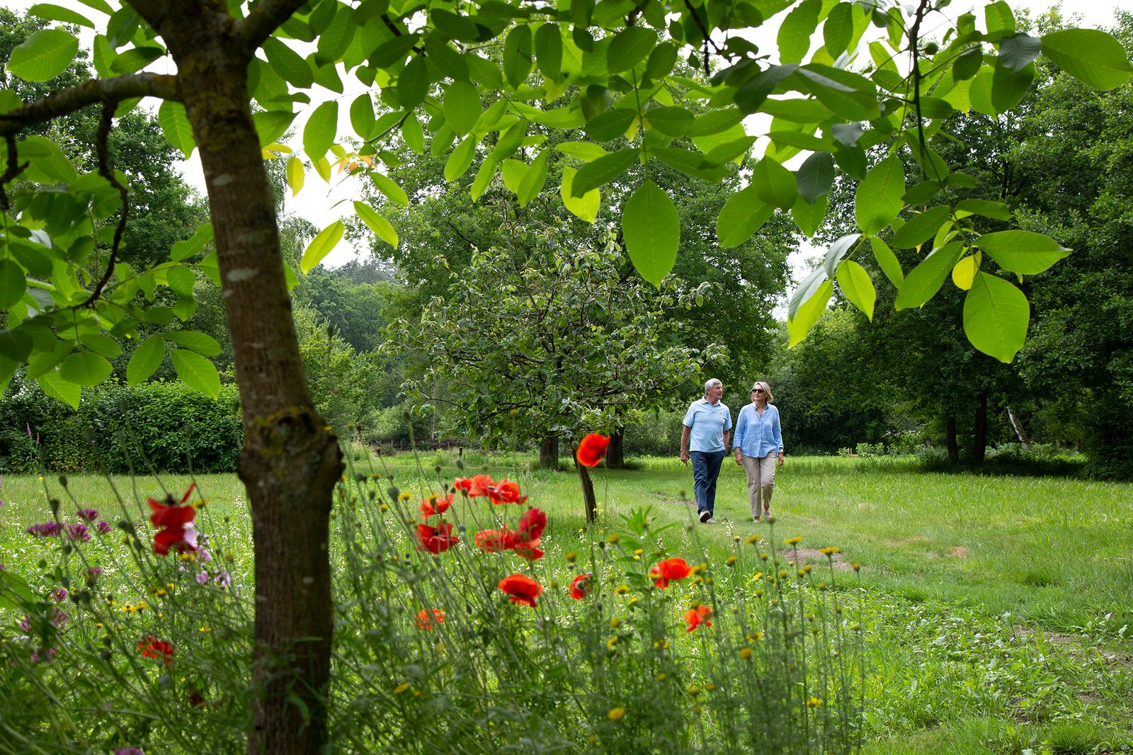 Niet alleen de kippen, maar alle dieren en mensen genieten van de ecologische moes- en landschapstuin aan de Volmolen. Alle vier de vakantieverblijven kijken erop uit. (Foto: ©Studio Leyssen Photograph)