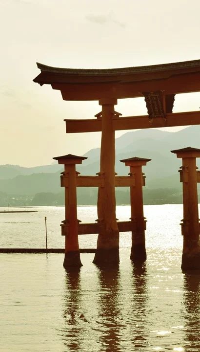 Osaka Expo 2025 - Japan: Een zee van ontdekkingen