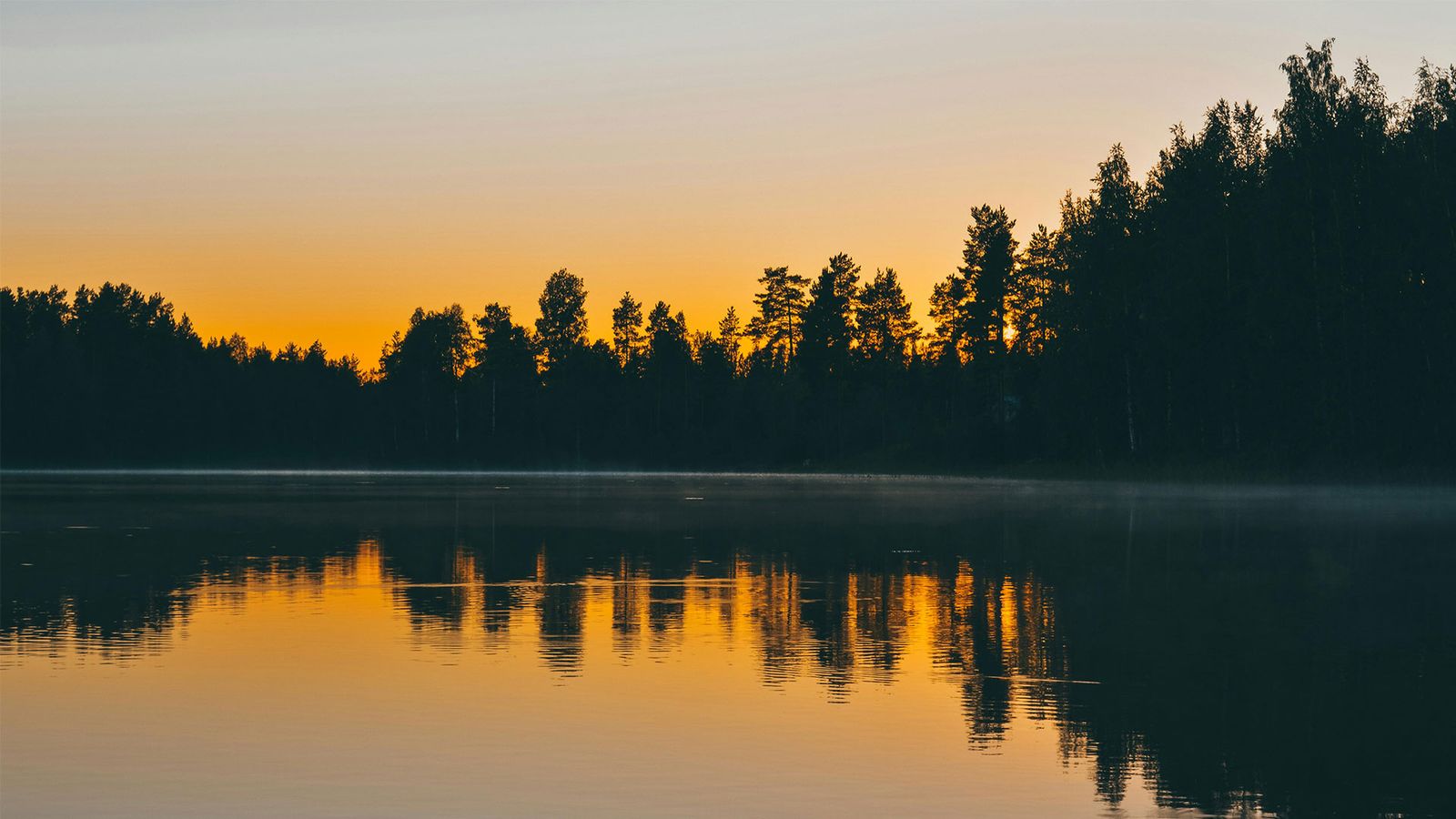 Reizen naar Finland | Ontdek het land van duizend meren en het noorderlicht | Selectair