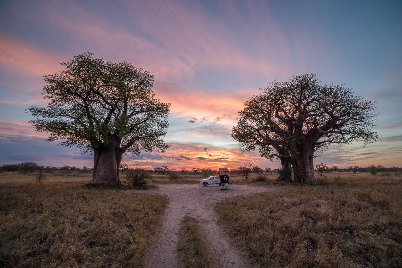 Botswana onder canvas - slapen onder de sterrenhemel - vertrek op 31/08/25