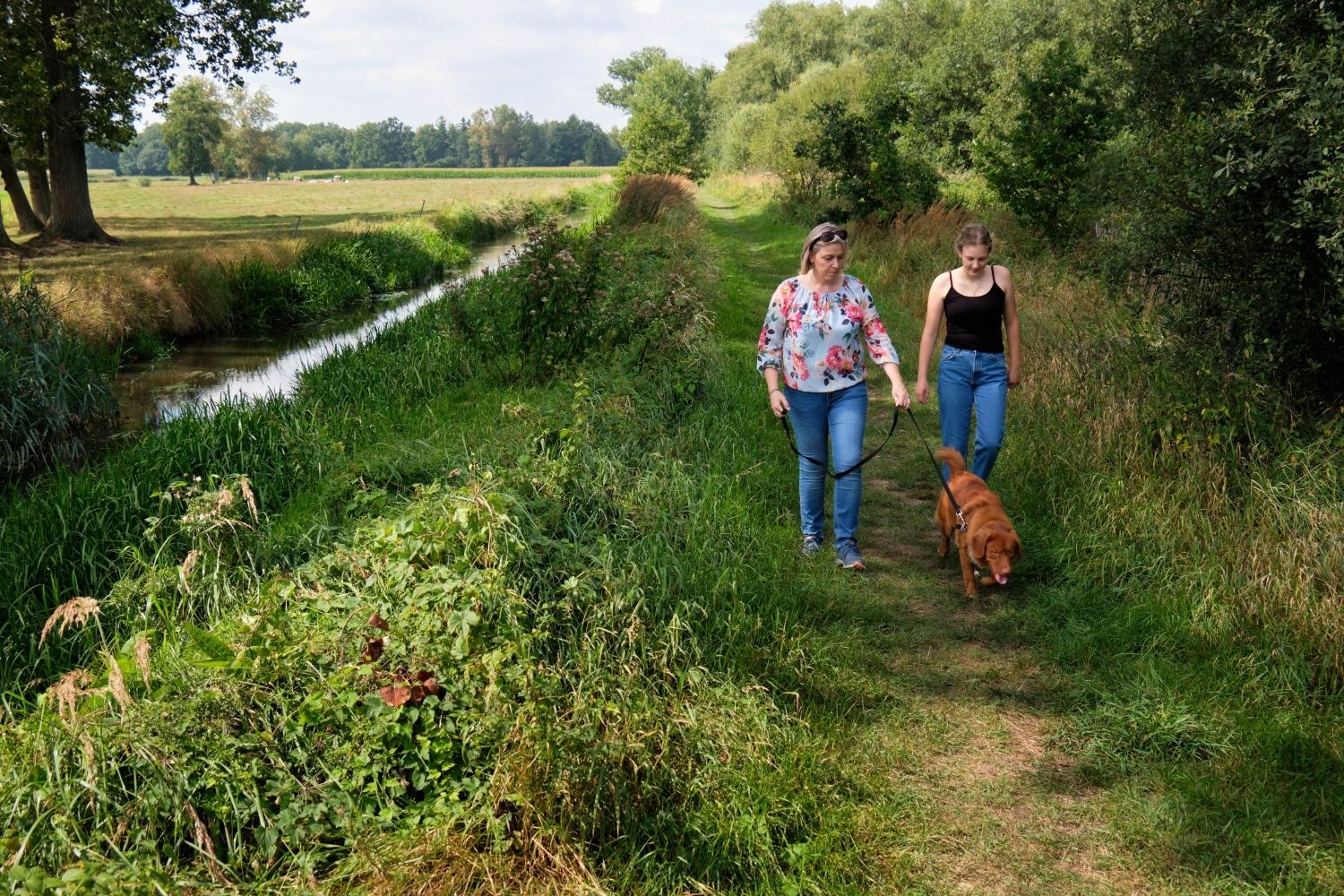 Onze Bosbeek of Oeter doorkruist het zuidelijk deel van Kempen-Broek in Neeroeteren en Maaseik (Wurfeld). Foto: ©Regionaal Landschap Kempen en Maasland.