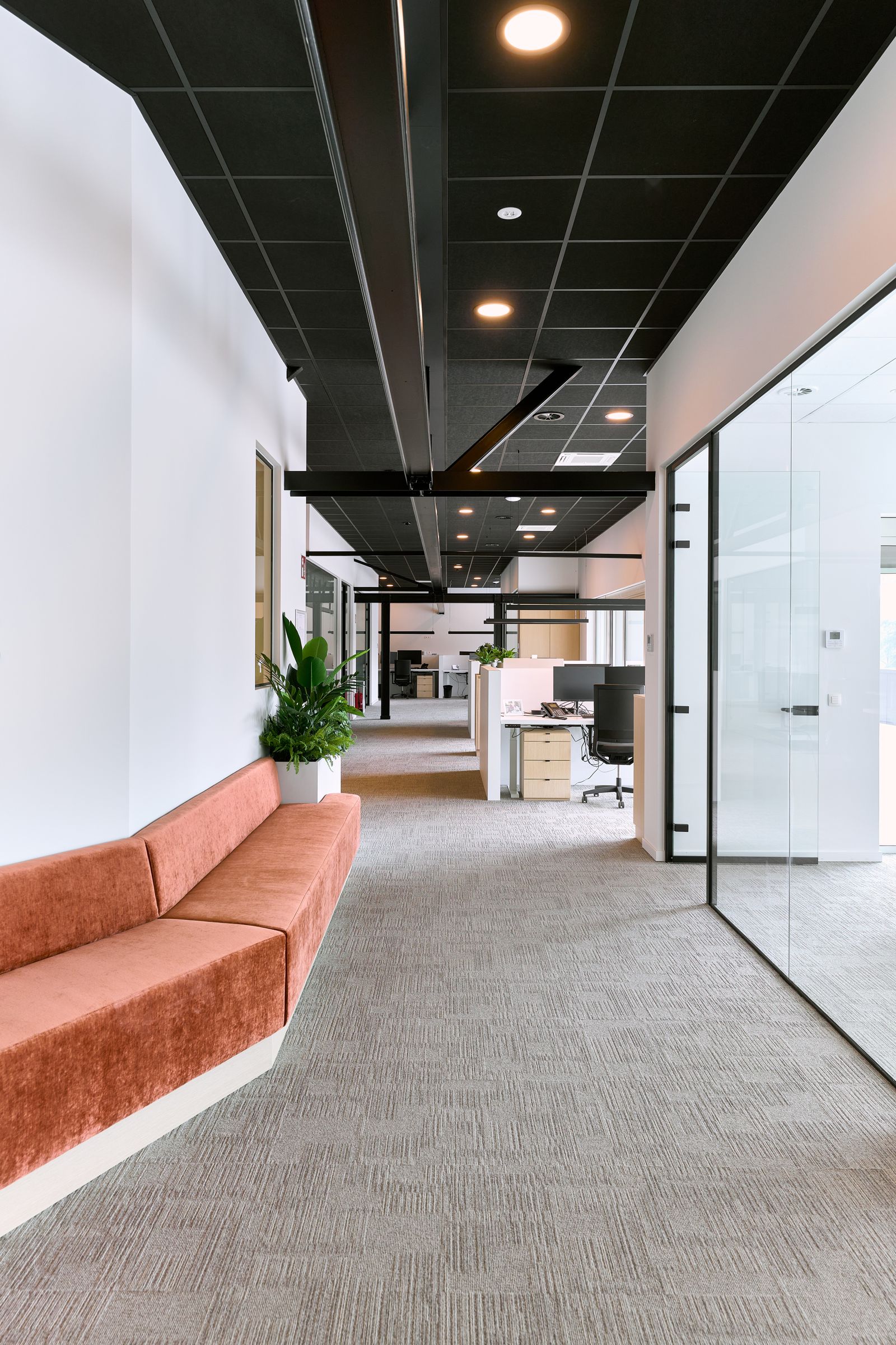 36Staf Cars Driesen55293.jpg